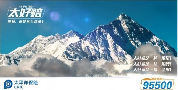 “太好陪”你身边的好管家